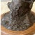 Rare R.C. Lynch Bronze Raccoon Sculpture - Signed 1980 - Limited Ed. 12/17 For Sale In San Francisco - Image 6 of 6