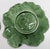 Mid-Century Set of 6 Green Cabbage Luncheon Plates by Secla Portugal For Sale - Image 15 of 18