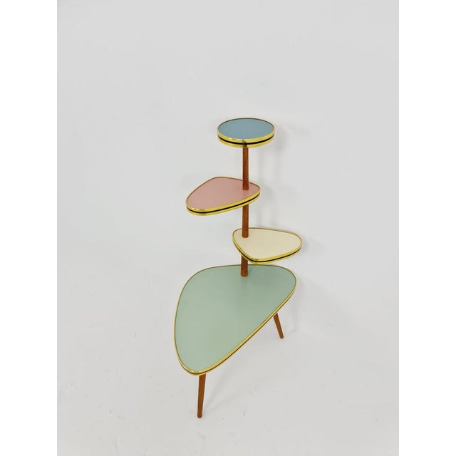 Brown Vintage German Plant Stand, 1950s For Sale - Image 8 of 10