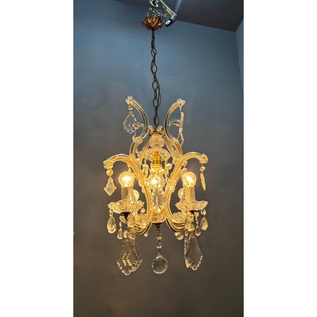 1950s Italian Crystal and Murano Glass Chandelier, 1950s For Sale - Image 5 of 14