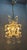1950s Italian Crystal and Murano Glass Chandelier, 1950s For Sale - Image 5 of 14