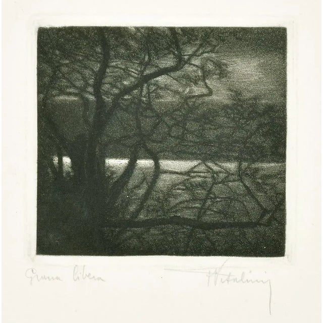 Landscape - Original Etching on Paper by Francesco Vitalini - 1904 1904 For Sale - Image 3 of 3