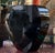 Glass Mid Century Modern Murano Italian Art Glass Vase For Sale - Image 7 of 8