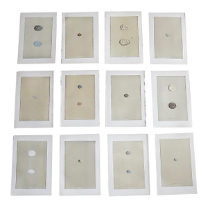 Authentic Antique 19th Century Hand Colored Egg Lithographs - Set of 12