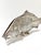 Mid-Century Modern Vintage Silver-Plated Fish Menu Holder or Stand For Sale - Image 3 of 12