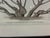 Traditional Natural Curiosities “St. Germain Pear-Tree” Oversized Botanical Print, For Sale - Image 3 of 10
