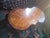French 1700th Century Louis Xv Kidney-Shaped Coffee Table For Sale - Image 3 of 3