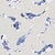 Harlequin Koi Wallpaper in Indigo - a Sample For Sale