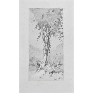 Carlo Ferrari, The Big Tree, Pencil Drawing, 1899 For Sale