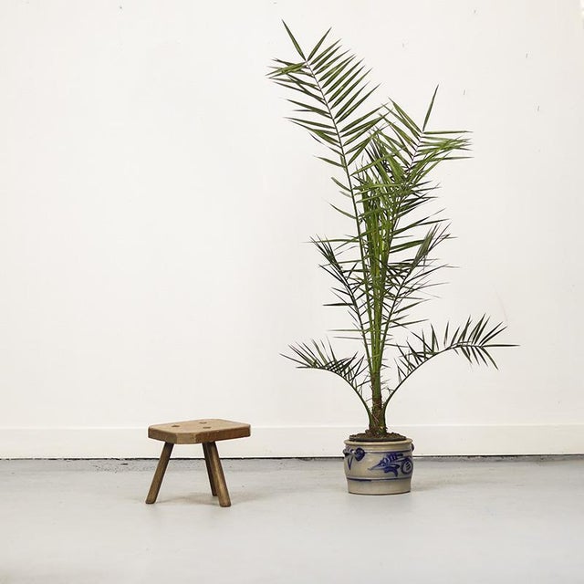 This primitive oak stool, once purely functional and designed for sitting, has now become a strikingly stylish and...