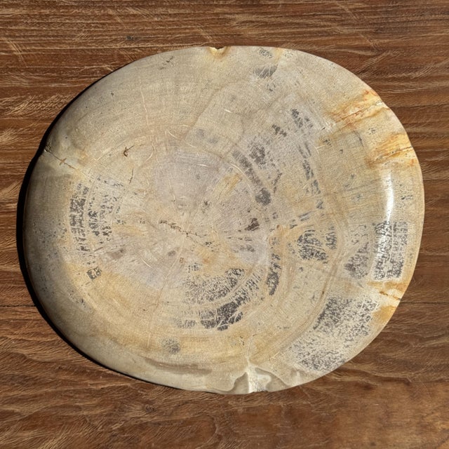 Oval Petrified Wood Trinket Tray with Grey Rings, 1980s For Sale - Image 6 of 9