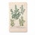 18th Century Pair of 18th Century Hand-Colored Botanical Prints — Abies & Boxwood by Johann Wilhelm Weinmann For Sale - Image 5 of 9