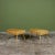 Pair of John Keal Side Tables for Brown Saltman For Sale - Image 10 of 18