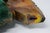 Signed Raku Pottery Abstract Sculptural Art Vase For Sale - Image 11 of 13