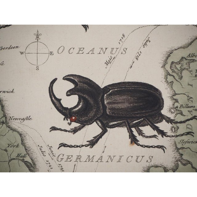 George Edwards, Animals of the Journey, Etching For Sale - Image 5 of 6