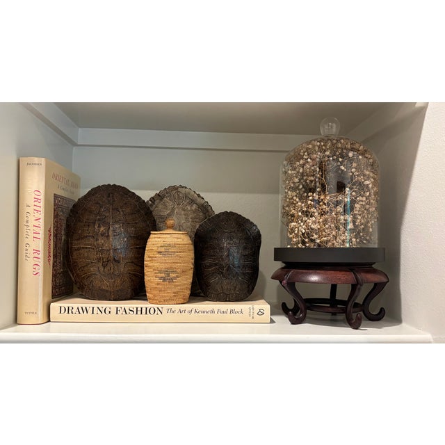 Mid 20th Century Cabinet of Curiosities Glass Cloche With Bird’s Nest Wrapped in Dried Gypsophila on Decorative Asian Wooden Stand For Sale - Image 5 of 15