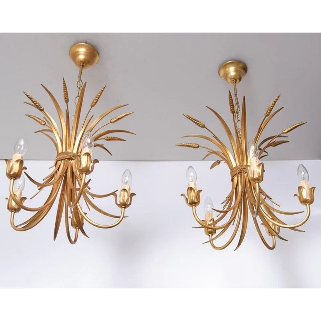 Metal Gilded Brass Wheat Sheaf Chandeliers, Italy, 1970s, Set of 2 For Sale - Image 7 of 11