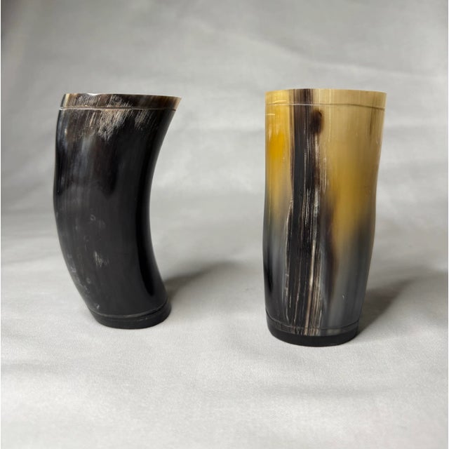 Pair of Rustic European Horn Vases For Sale - Image 4 of 12