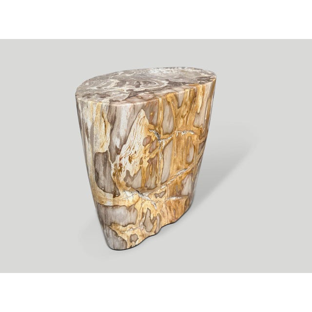 Andrianna Shamaris Impressive High Quality Ancient Petrified Wood Side Table For Sale - Image 4 of 6