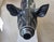 Greedy Pig in Heavy Metal by Jan Paul For Sale - Image 11 of 18