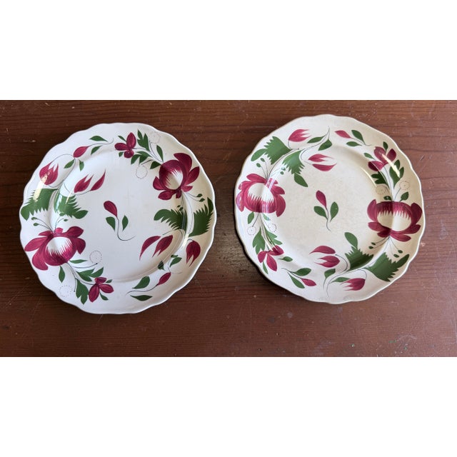 A Very Nice Pair of Antique Staffordshire Early Adam’s Rose Plates, Circa 1830 For Sale - Image 11 of 11