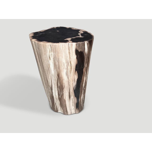 2020s Andrianna Shamaris Modern Organic High Quality Petrified Wood Side Table For Sale - Image 5 of 5