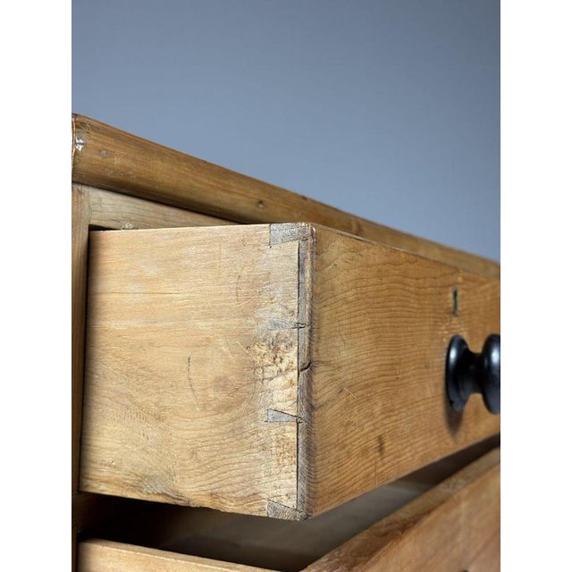 Pine Chest of Drawers, 19th Century For Sale - Image 6 of 15