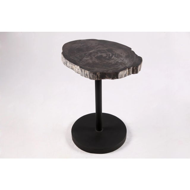 2020s Living Edge Petrified Wood Top W Black Metal Stand Accent Table or Side Table 59 For Sale - Image 5 of 5