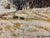 Dmitrij Kosmin Dimitri Kosmin, Winter Has Arrived, 1985, Oil Painting For Sale - Image 3 of 7