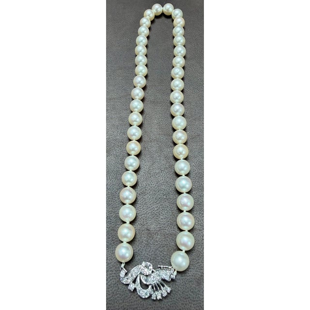 White 8mm Akoya Japanese Pearl Single Strand Choker Necklace, 18k White Gold & Diamond For Sale - Image 8 of 8