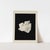 Abstract open edition giclee print by artist Anna Pepe, 20"x28" Elegant beige abstract forms on black background. Printed...