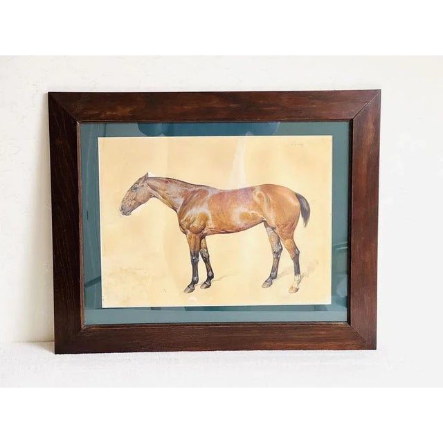 Franz Reichmann, Horse, 1920s, Watercolor, Framed, in Very Good conditions. Designed 1920 to 1949