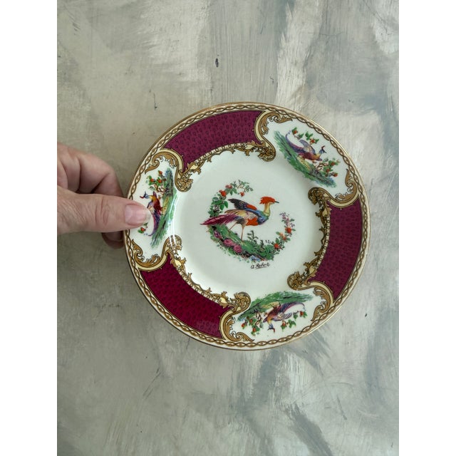 Myott Son & Co. Antique Myott Chelsea Bird Bread Plates – 6 3/8-Inch Staffordshire England Porcelain With Burgundy and Gilt Decoration - Set of Eleven (11) For Sale - Image 4 of 12