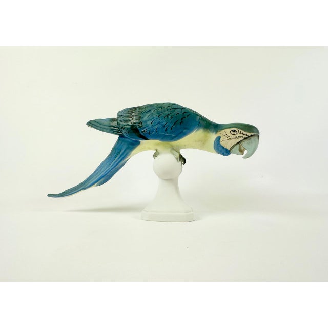 Hand Painted Parrot Figurine from Royal Dux, 1960s For Sale - Image 6 of 14