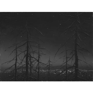 Darkness Rises by Todd Carpenter | Oil on Board Night landscape with silhouetted trees. For Sale