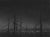 Darkness Rises by Todd Carpenter | Oil on Board Night landscape with silhouetted trees. For Sale