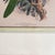 Pair of Framed John Gerrard Keulemans Lory Prints | 1896 Hand-Colored Lithographs, Mivart's Monograph of the Lories For Sale - Image 10 of 10