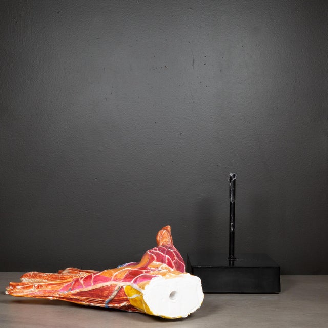 Metal Early 20th C. French Medical Hand Model c.1920 For Sale - Image 7 of 8