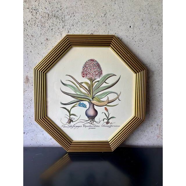 Hollywood Regency Pair of Vintage Italian Botanical Prints in Gilt Octagonal Frames, Made in Italy For Sale - Image 3 of 5