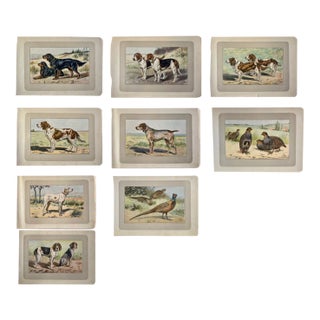 1907 French Photogravure Prints ~ Collection of Nine For Sale