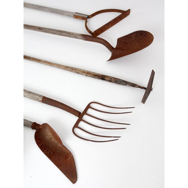 Antique Primitive Garden Tool Collection - 7 Piece For Sale - Image 14 of 18