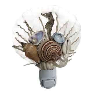 Natural Crafted Beach House Decor Shell Nightlight For Sale