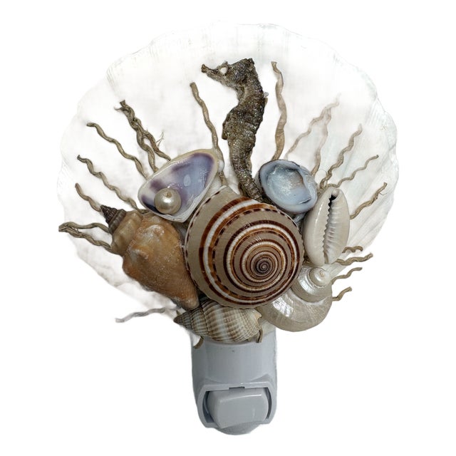Natural Crafted Beach House Decor Shell Nightlight For Sale