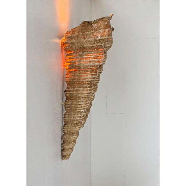 Vintage Shell Wall Sconces in Beige Fiberglass, France, 1960, Set of 2 For Sale - Image 6 of 10