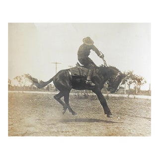 Antique Cavalry Rodeo Soldier & Bucking Horse Photograph For Sale