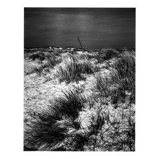 Paul Cooklin, the Crane, Edition of 50 For Sale