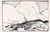 American Clouds Above the High Desert - Line Drawing Landscape Bu Laurence Sisson For Sale - Image 3 of 7