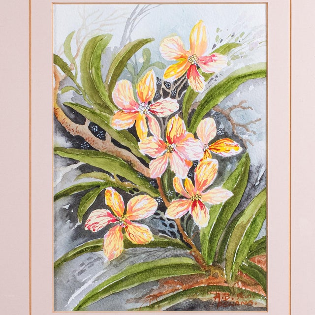 Pink Set of 4 Vintage Botanical Watercolour Pictures, Malaysian Art, Orchids, Framed For Sale - Image 8 of 12