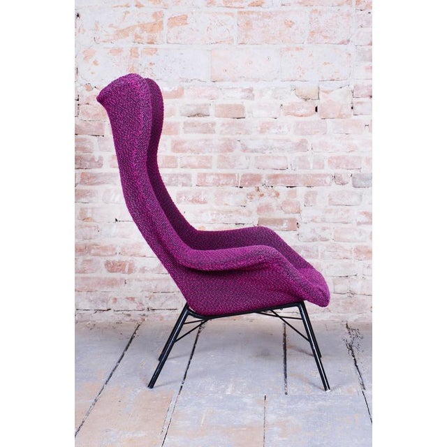 1950s Mid-Century Wingchair in Plastic Fiber from Miroslav Navratil, Czech, 1950s For Sale - Image 5 of 12