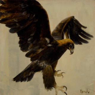 City Eagle by Dana Hawk | Oil on wood panel Painting of a flying eagle with outstretched wings For Sale